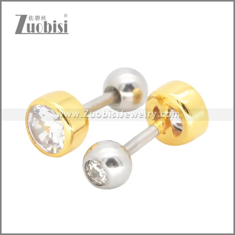 Stainless Steel Earrings e002399G