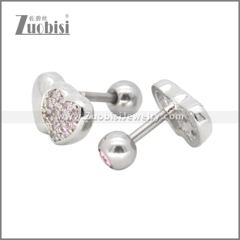 Stainless Steel Earrings e002412R