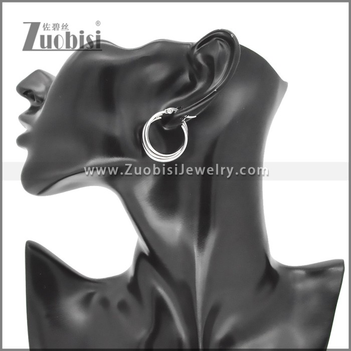Stainless Steel Earrings e002379S