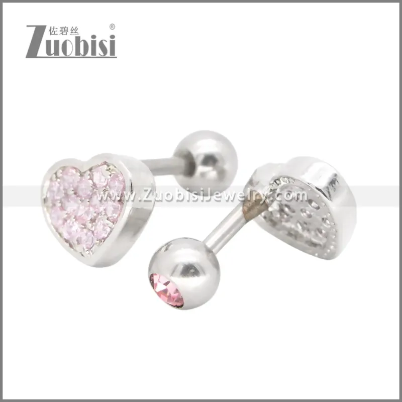 Stainless Steel Earrings e002395R