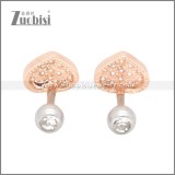 Stainless Steel Earrings e002398A