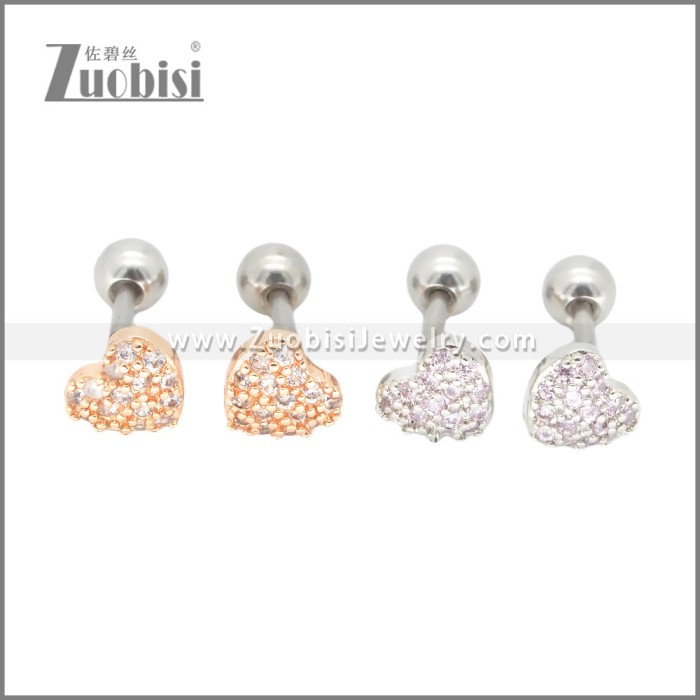 Stainless Steel Earrings e002394A