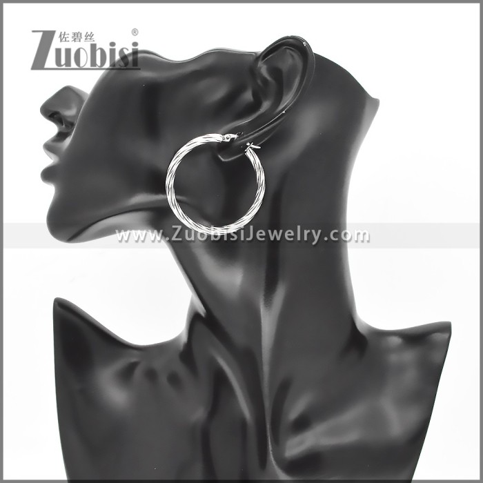 Stainless Steel Earrings e002384S