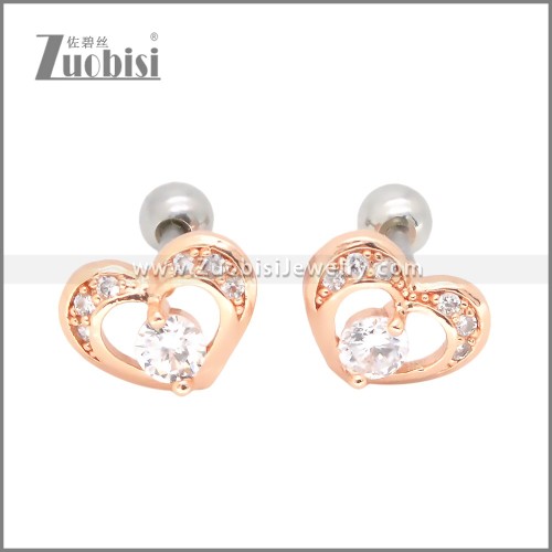 Stainless Steel Earrings e002406A