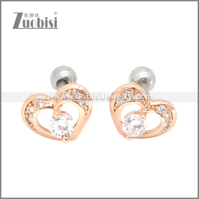 Stainless Steel Earrings e002406A