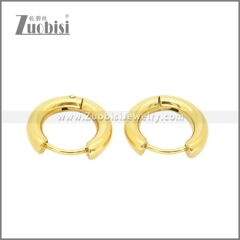 Stainless Steel Earrings e002385G