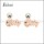 Stainless Steel Earrings e002404A