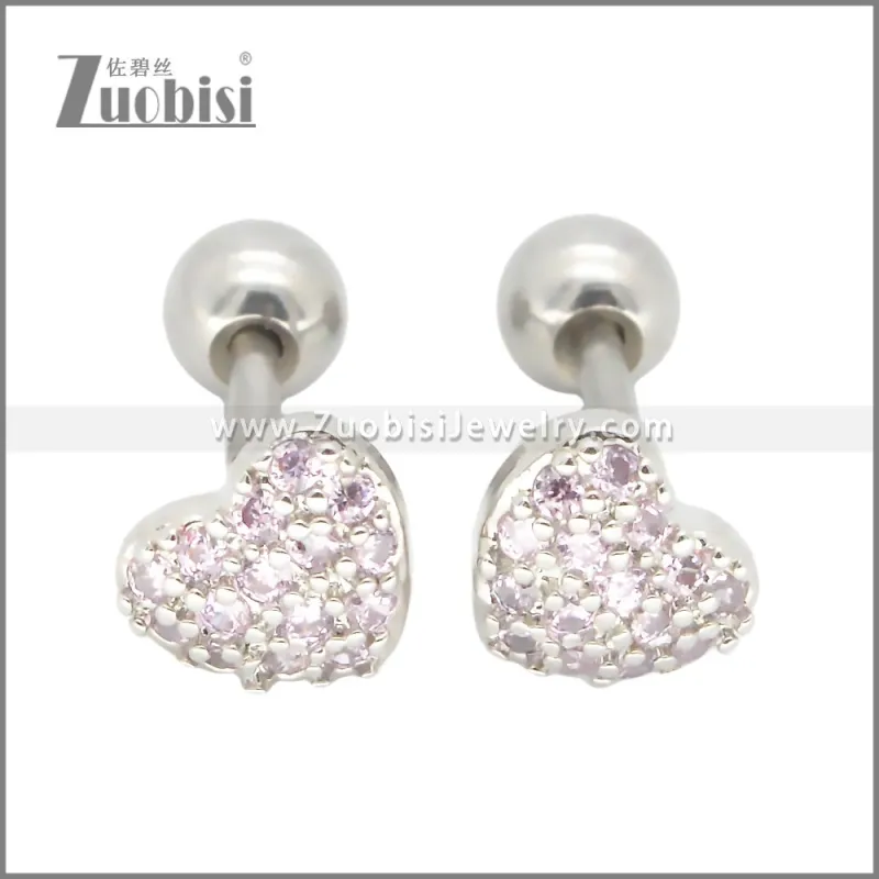 Stainless Steel Earrings e002394R