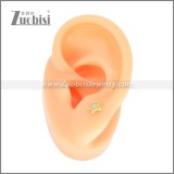 Stainless Steel Earrings e002377G