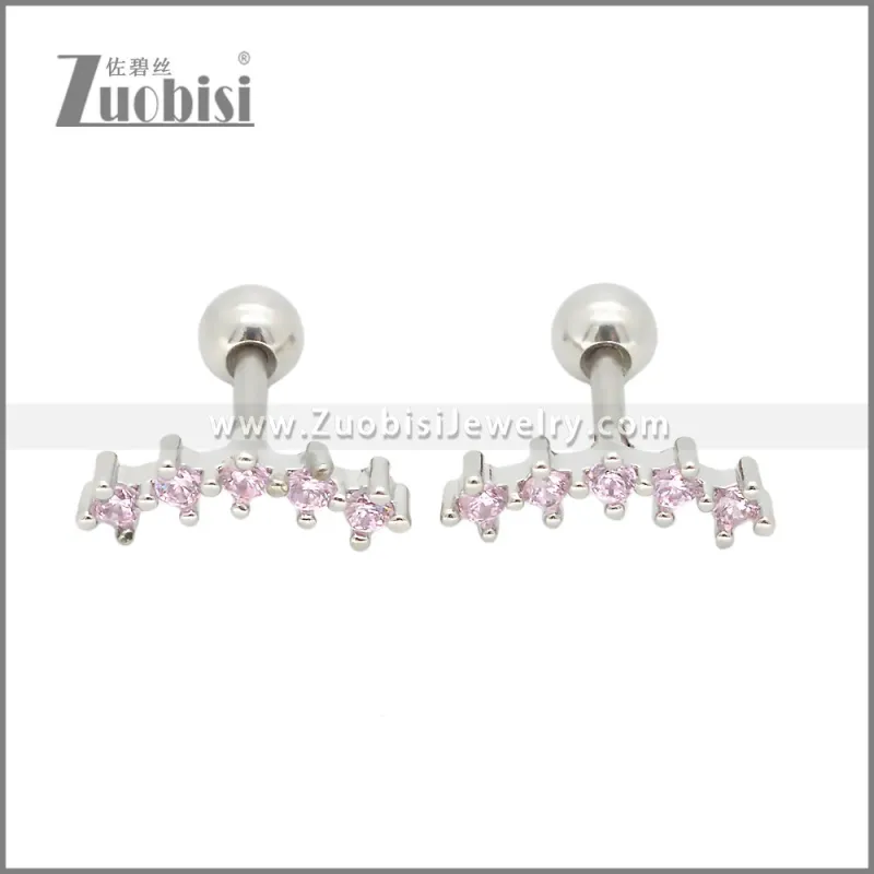 Stainless Steel Earrings e002407S2