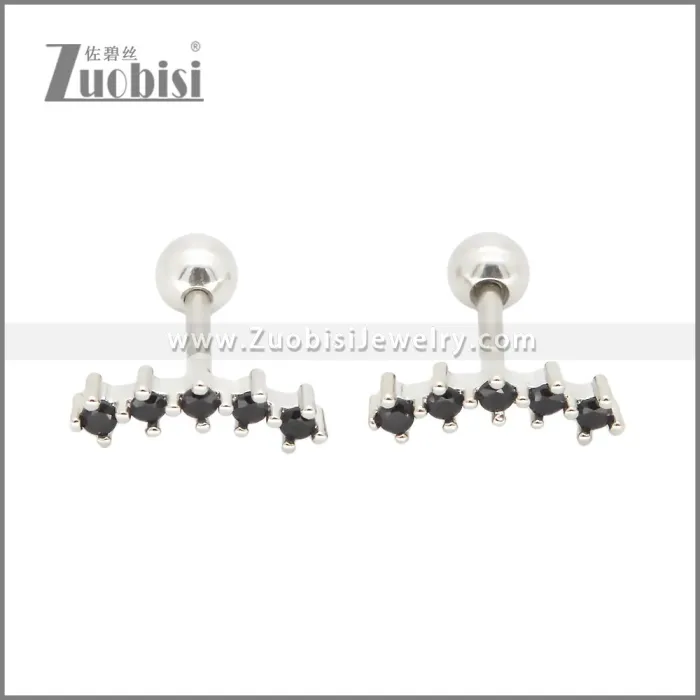 Stainless Steel Earrings e002407S4