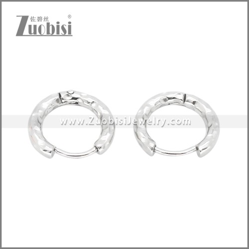 Stainless Steel Earrings e002383S