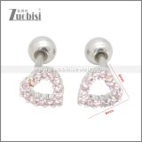 Stainless Steel Earrings e002396R