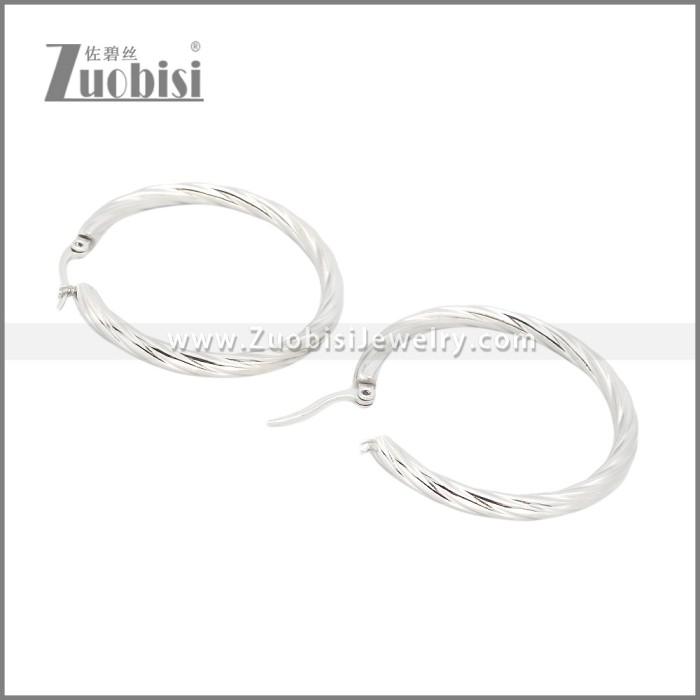 Stainless Steel Earrings e002384S