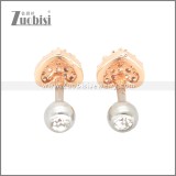 Stainless Steel Earrings e002394A