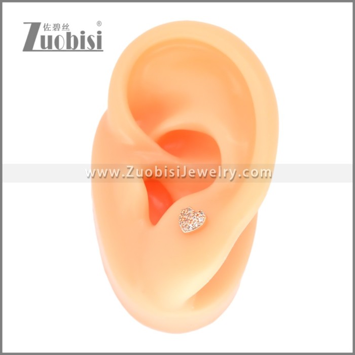 Stainless Steel Earrings e002394A