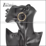 Stainless Steel Earrings e002386G