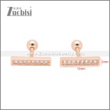 Stainless Steel Earrings e002401A
