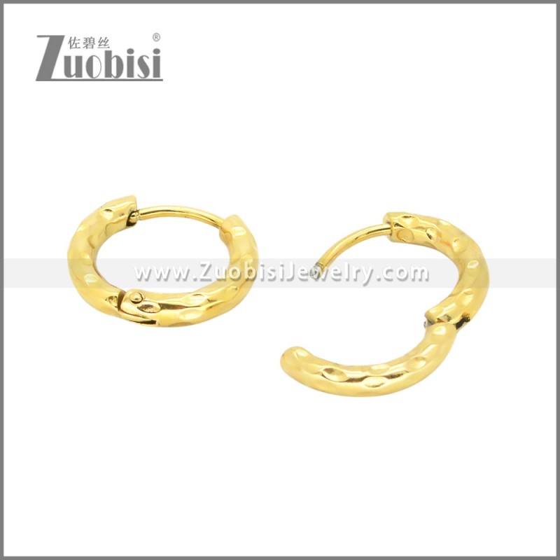 Stainless Steel Earrings e002383G
