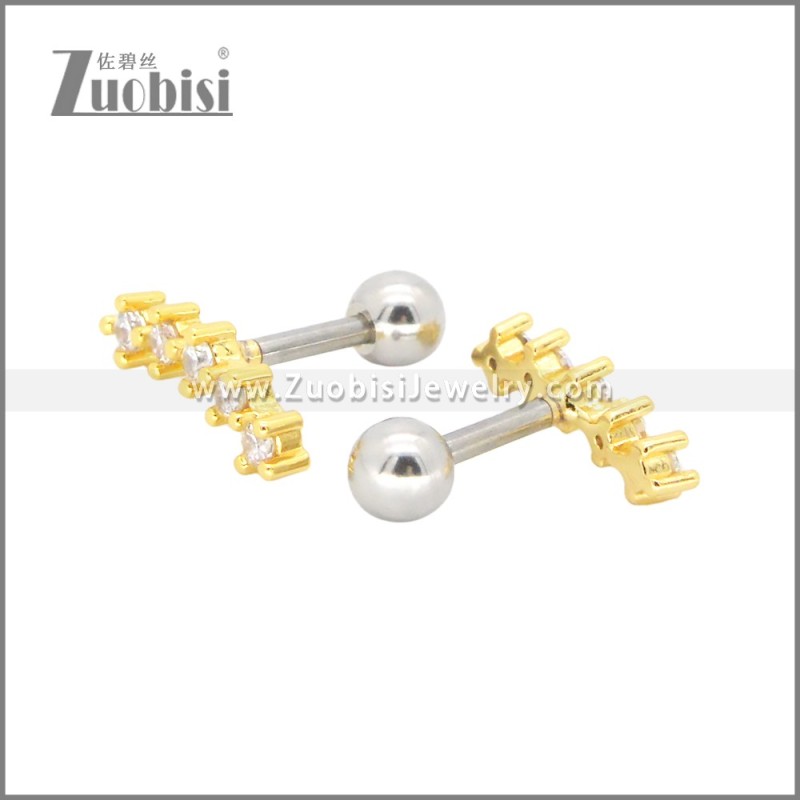 Stainless Steel Earrings e002409G