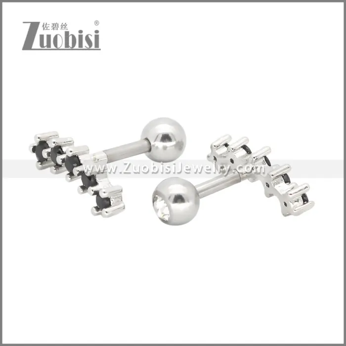 Stainless Steel Earrings e002407S4