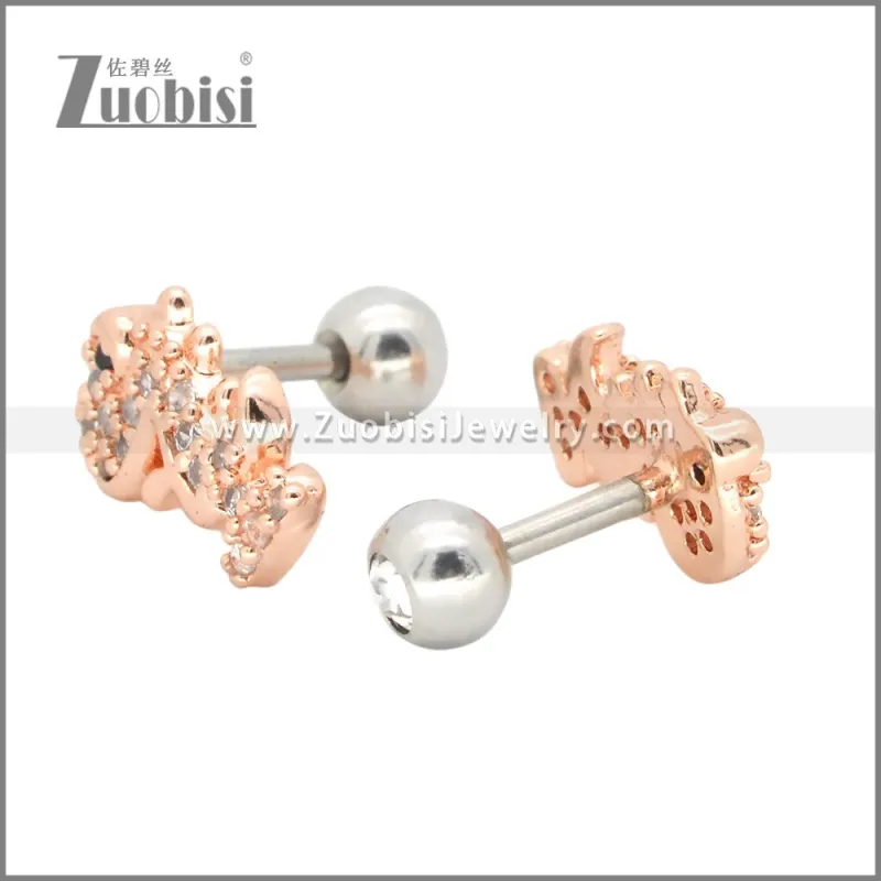 Stainless Steel Earrings e002404A