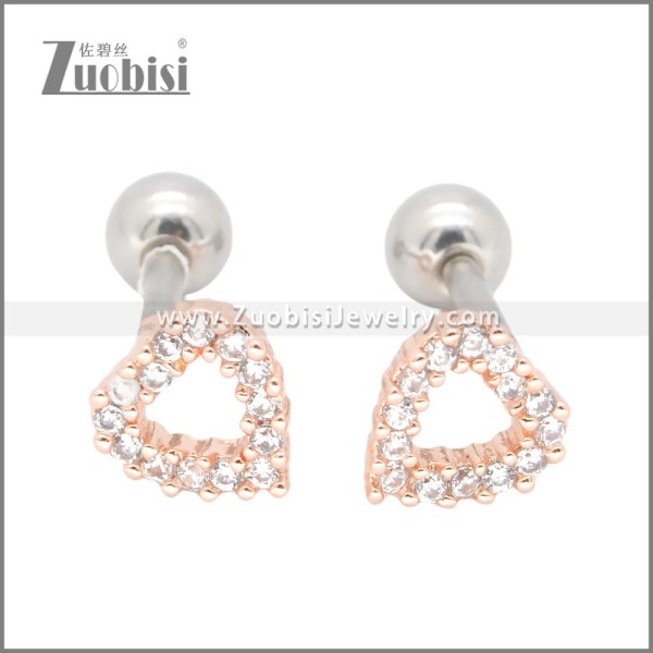 Stainless Steel Earrings e002396A