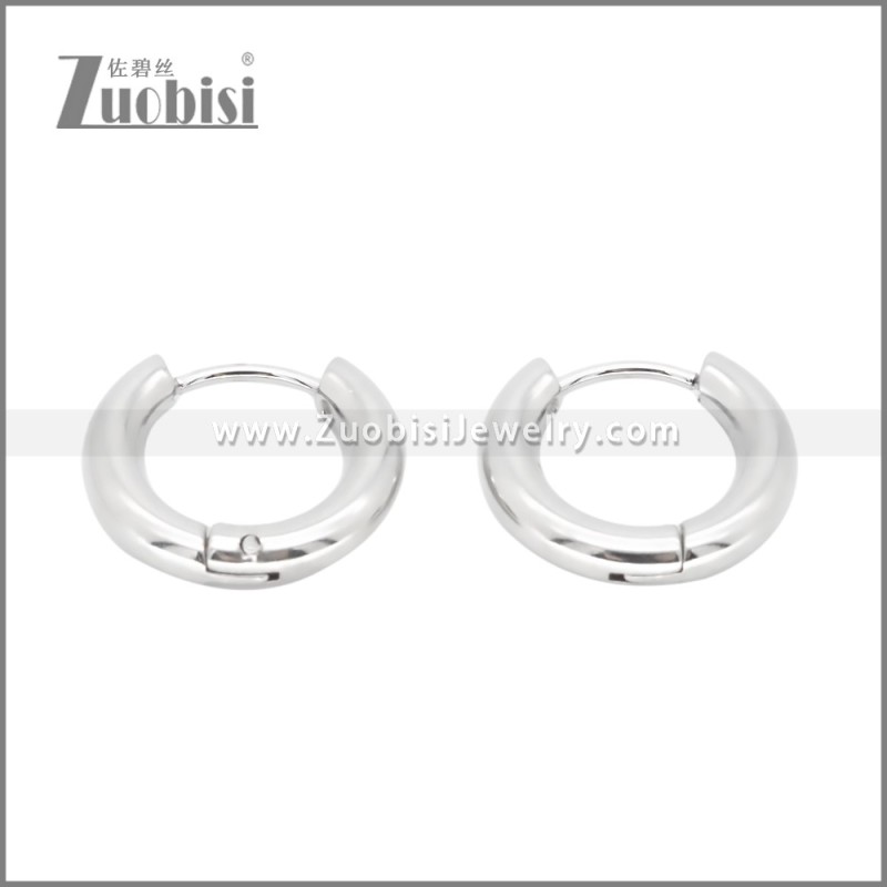 Stainless Steel Earrings e002385S