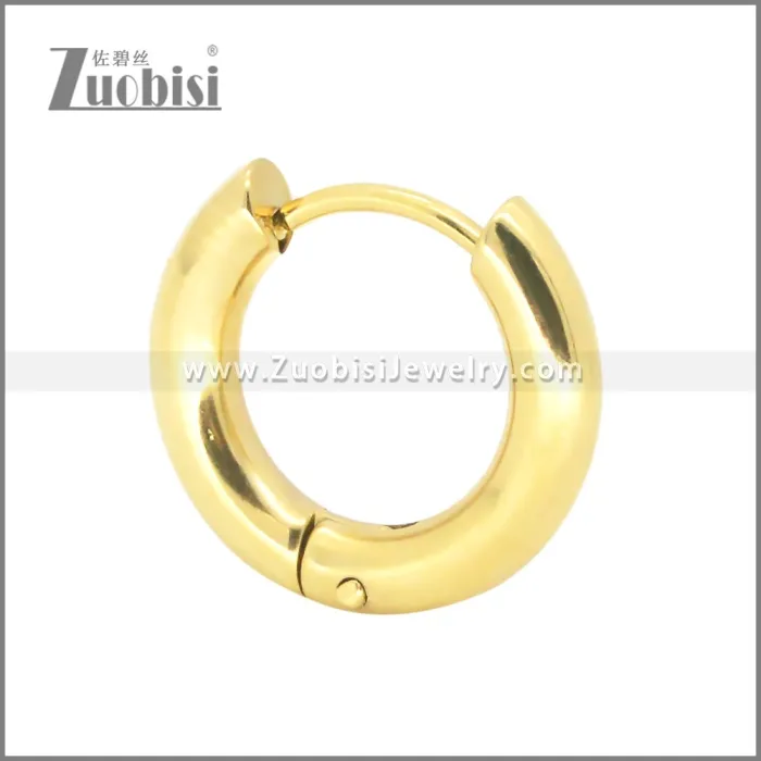 Stainless Steel Earrings e002385G