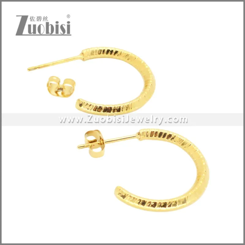 Stainless Steel Earrings e002382G