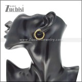 Stainless Steel Earrings e002378G