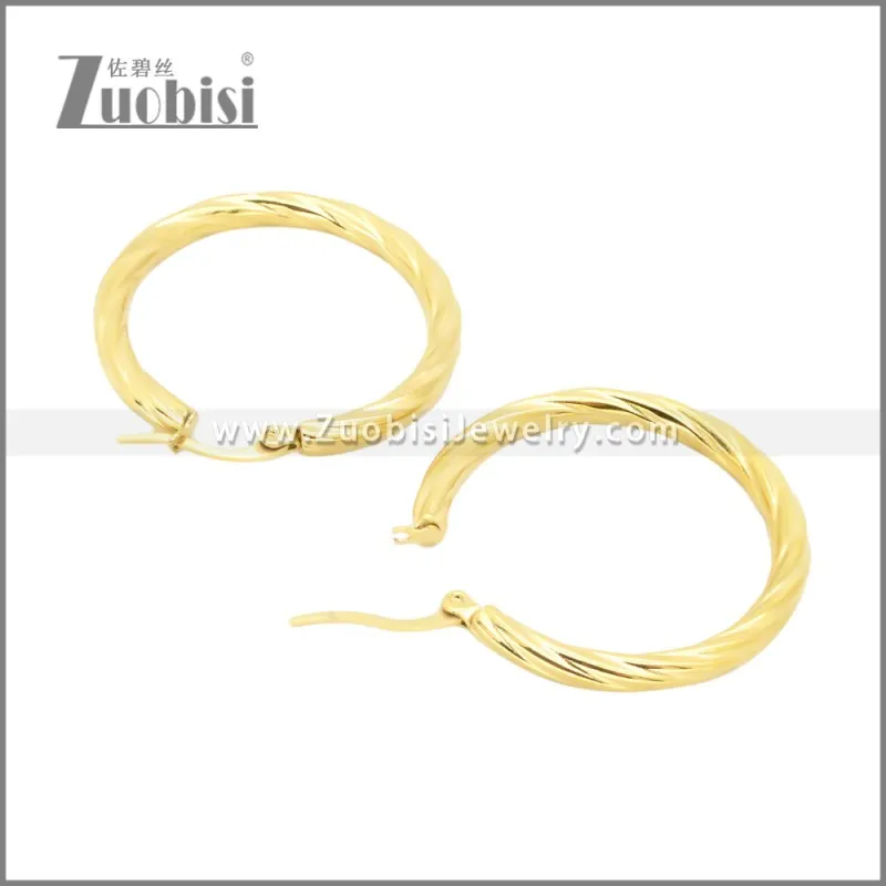 Stainless Steel Earrings e002384G