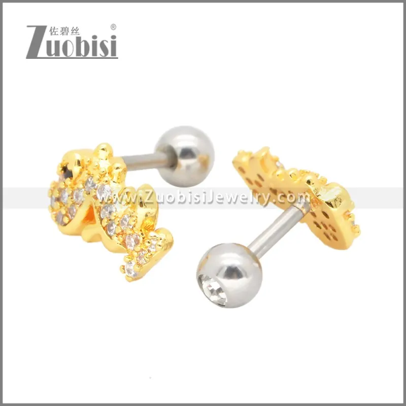 Stainless Steel Earrings e002404G