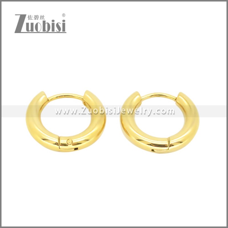 Stainless Steel Earrings e002385G