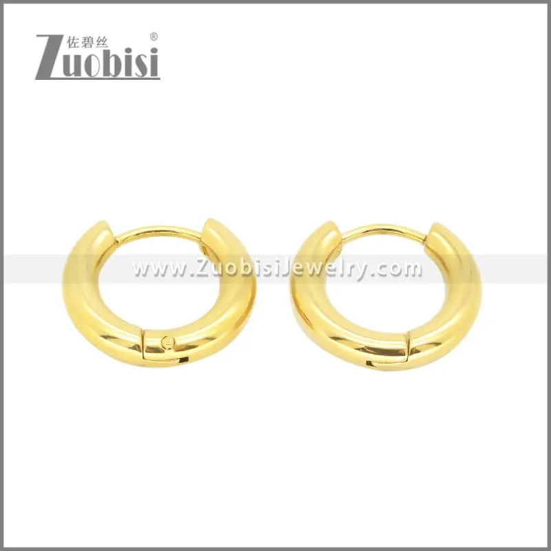 Stainless Steel Earrings e002385G
