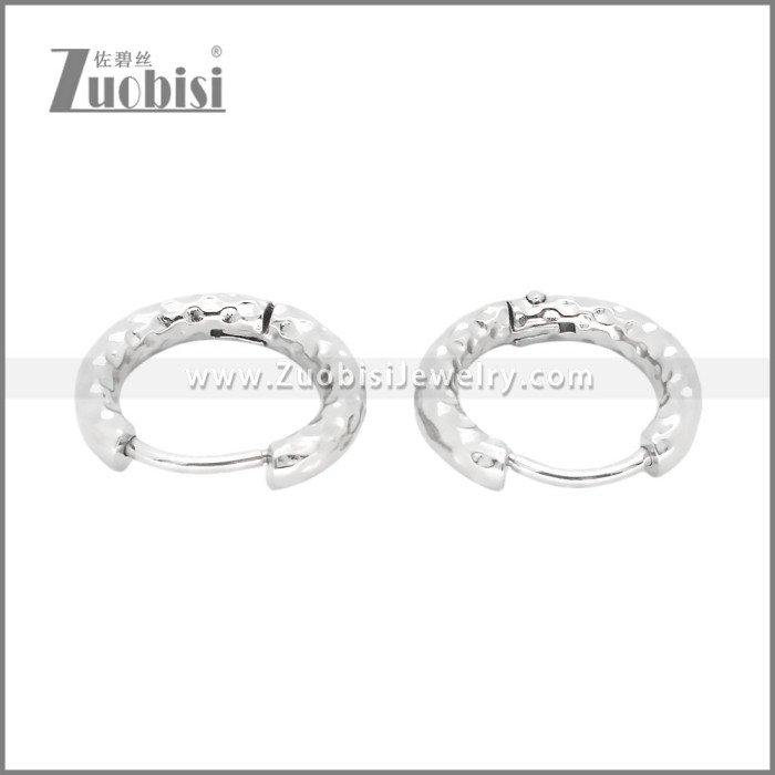 Stainless Steel Earrings e002392
