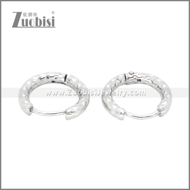 Stainless Steel Earrings e002392