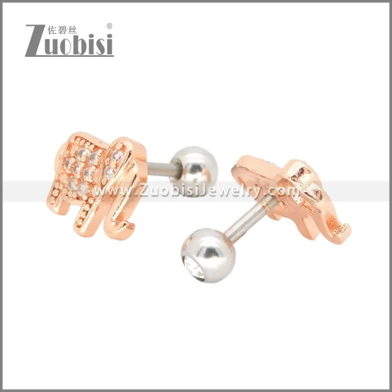 Stainless Steel Earrings e002400A