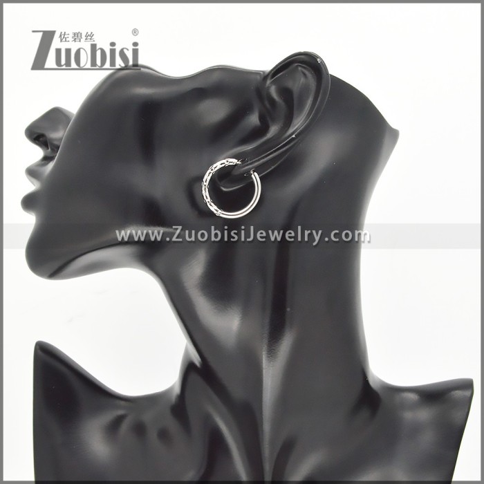 Stainless Steel Earrings e002378S