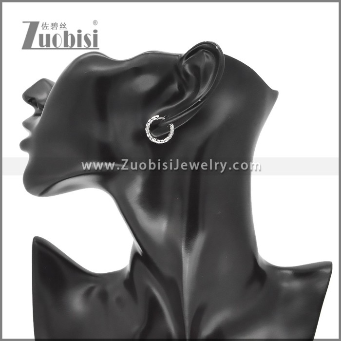 Stainless Steel Earrings e002392