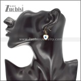 Stainless Steel Earrings e002435G