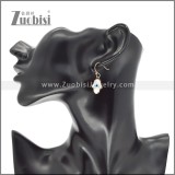 Stainless Steel Earrings e002434R