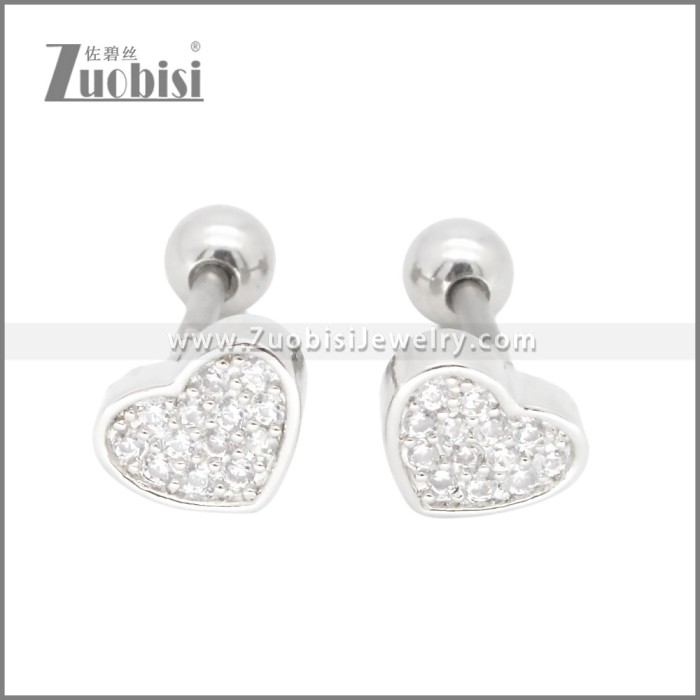 Stainless Steel Earrings e002395S