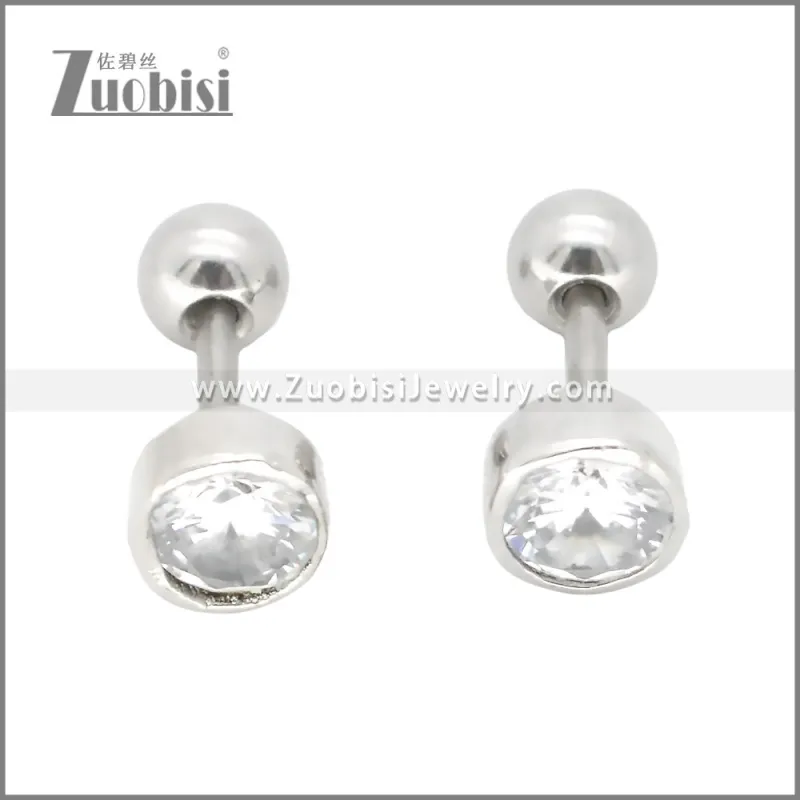 Stainless Steel Earrings e002399S