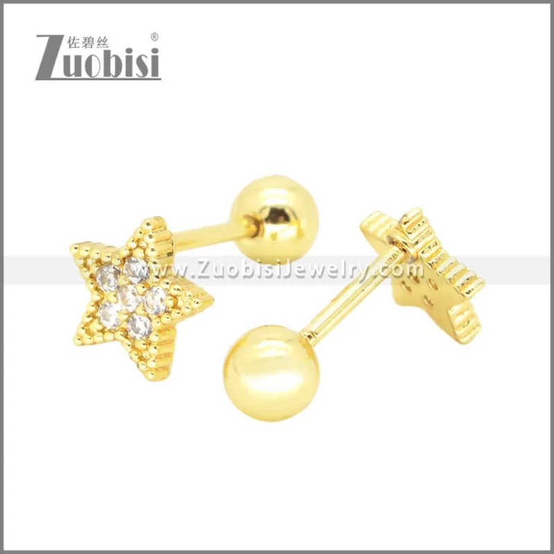 Stainless Steel Earrings e002377G
