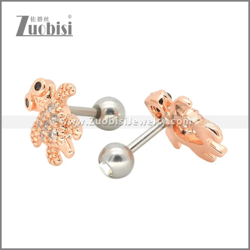 Stainless Steel Earrings e002405A