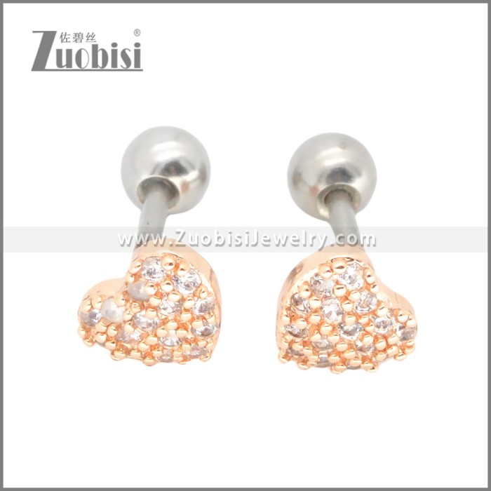 Stainless Steel Earrings e002394A