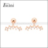 Stainless Steel Earrings e002409A