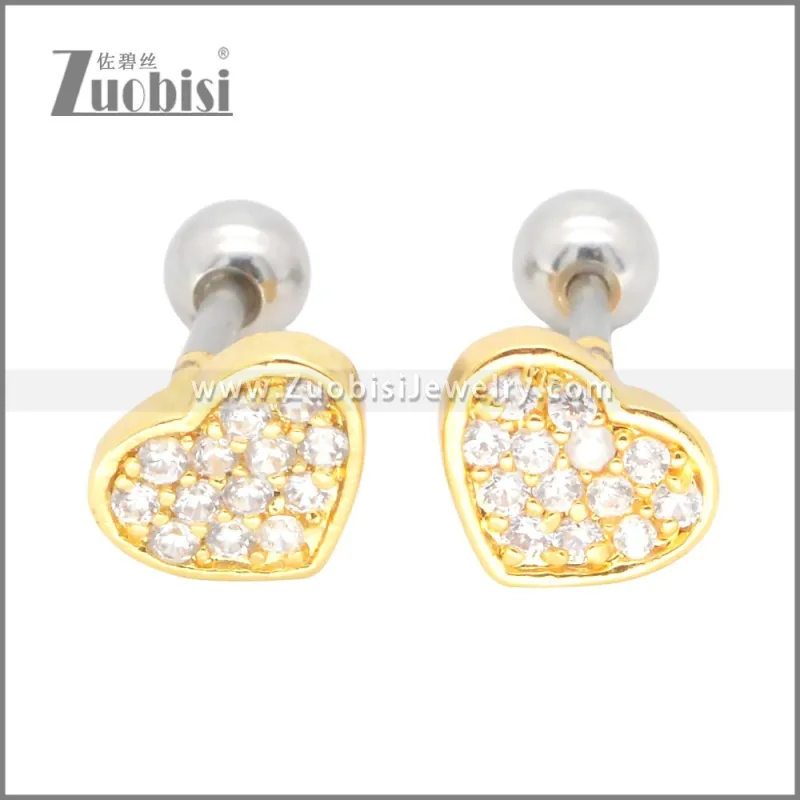 Stainless Steel Earrings e002398G