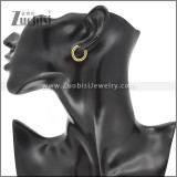 Stainless Steel Earrings e002385G
